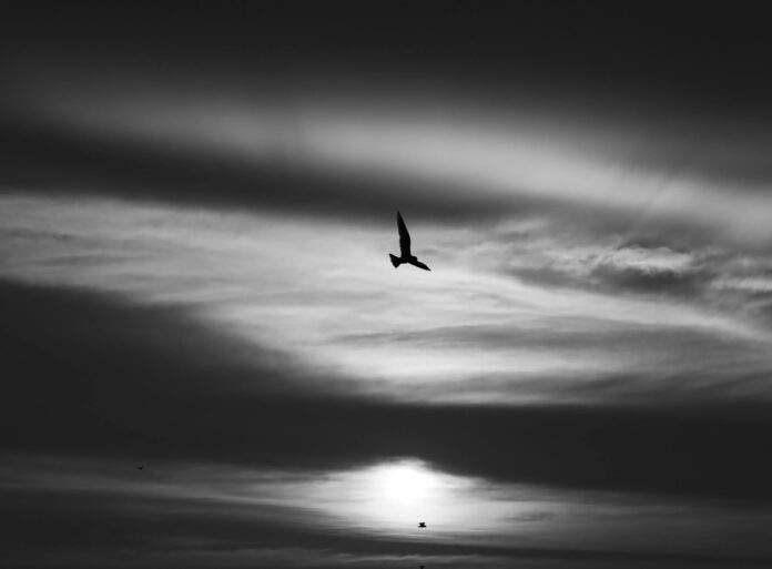 नीतीश कुमार: 30 मार्च तक विधानसभा सीट खाली करेंगे नीतीश कुमार: 30 मार्च तक विधानसभा सीट खाली करेंगे