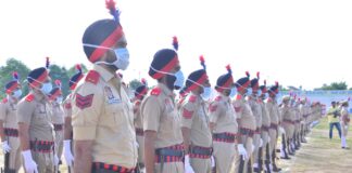 सीटीईटी 2026 परिणाम के बाद करियर विकल्प: सरकारी नौकरी या प्राइवेट जॉब सीटीईटी 2026 परिणाम के बाद करियर विकल्प: सरकारी नौकरी या प्राइवेट जॉब