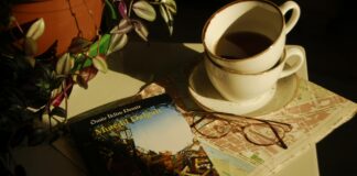 मुख्यमंत्री लड़की बहिण योजना में पंजीकरण विवाद, पटना में जांच मुख्यमंत्री लड़की बहिण योजना में पंजीकरण विवाद, पटना में जांच