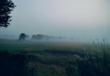 बिहार में बैंक खाता खोलने का तरीका बिहार में बैंक खाता खोलने का तरीका