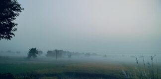 बिहार में बैंक खाता खोलने का तरीका बिहार में बैंक खाता खोलने का तरीका