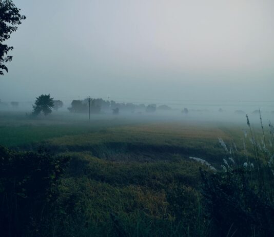 बिहार में बैंक खाता खोलने का तरीका बिहार में बैंक खाता खोलने का तरीका