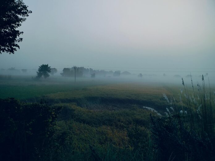 बिहार में बैंक खाता खोलने का तरीका