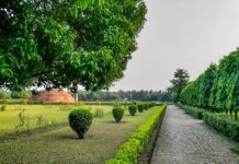 पटना उच्च न्यायालय ने आधार में जन्म तिथि सुधार के लिए बड़ी संख्या में याचिकाओं पर चिंता व्यक्त की पटना उच्च न्यायालय ने आधार में जन्म तिथि सुधार के लिए बड़ी संख्या में याचिकाओं पर चिंता व्यक्त की