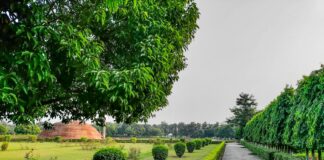 पटना उच्च न्यायालय ने आधार में जन्म तिथि सुधार के लिए बड़ी संख्या में याचिकाओं पर चिंता व्यक्त की पटना उच्च न्यायालय ने आधार में जन्म तिथि सुधार के लिए बड़ी संख्या में याचिकाओं पर चिंता व्यक्त की