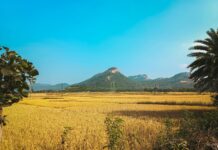 ड्राइविंग लाइसेंस ऑनलाइन आवेदन बिहार ड्राइविंग लाइसेंस ऑनलाइन आवेदन बिहार