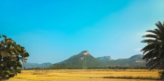 ड्राइविंग लाइसेंस ऑनलाइन आवेदन बिहार ड्राइविंग लाइसेंस ऑनलाइन आवेदन बिहार