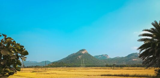 ड्राइविंग लाइसेंस ऑनलाइन आवेदन बिहार ड्राइविंग लाइसेंस ऑनलाइन आवेदन बिहार