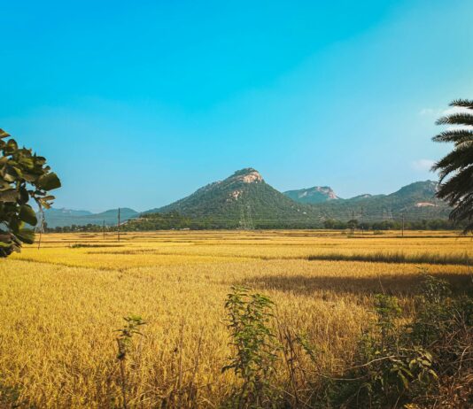 ड्राइविंग लाइसेंस ऑनलाइन आवेदन बिहार ड्राइविंग लाइसेंस ऑनलाइन आवेदन बिहार