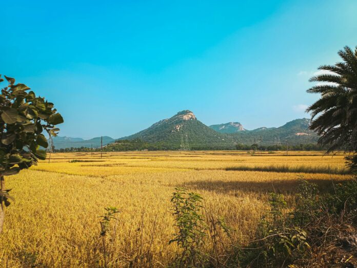 ड्राइविंग लाइसेंस ऑनलाइन आवेदन बिहार ड्राइविंग लाइसेंस ऑनलाइन आवेदन बिहार