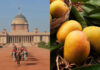 Why are Bhagalpur’s Jardalu Mangoes presented to the President of India almost every year Why are Bhagalpur's Jardalu Mangoes presented to the President of India almost every year