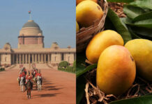 Why are Bhagalpur’s Jardalu Mangoes presented to the President of India almost every year Why are Bhagalpur's Jardalu Mangoes presented to the President of India almost every year