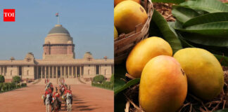 Why are Bhagalpur’s Jardalu Mangoes presented to the President of India almost every year Why are Bhagalpur's Jardalu Mangoes presented to the President of India almost every year