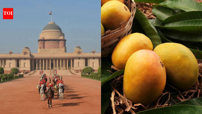 Why are Bhagalpur's Jardalu Mangoes presented to the President of India almost every year